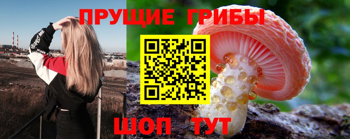 Галлюциногенные грибы мицелий  Вход с VPN  Бузулук 